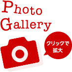 Photo Gallery